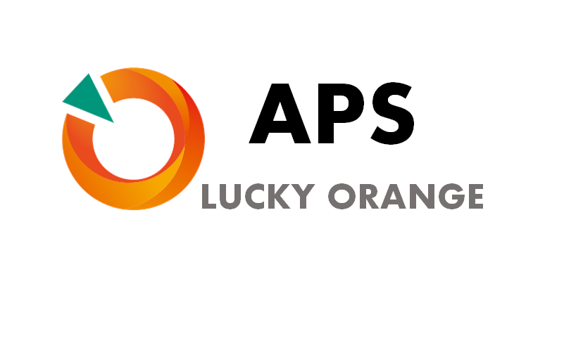 APS系統簡介